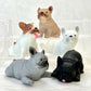 70298 French Bulldog Figurine Capsule-5