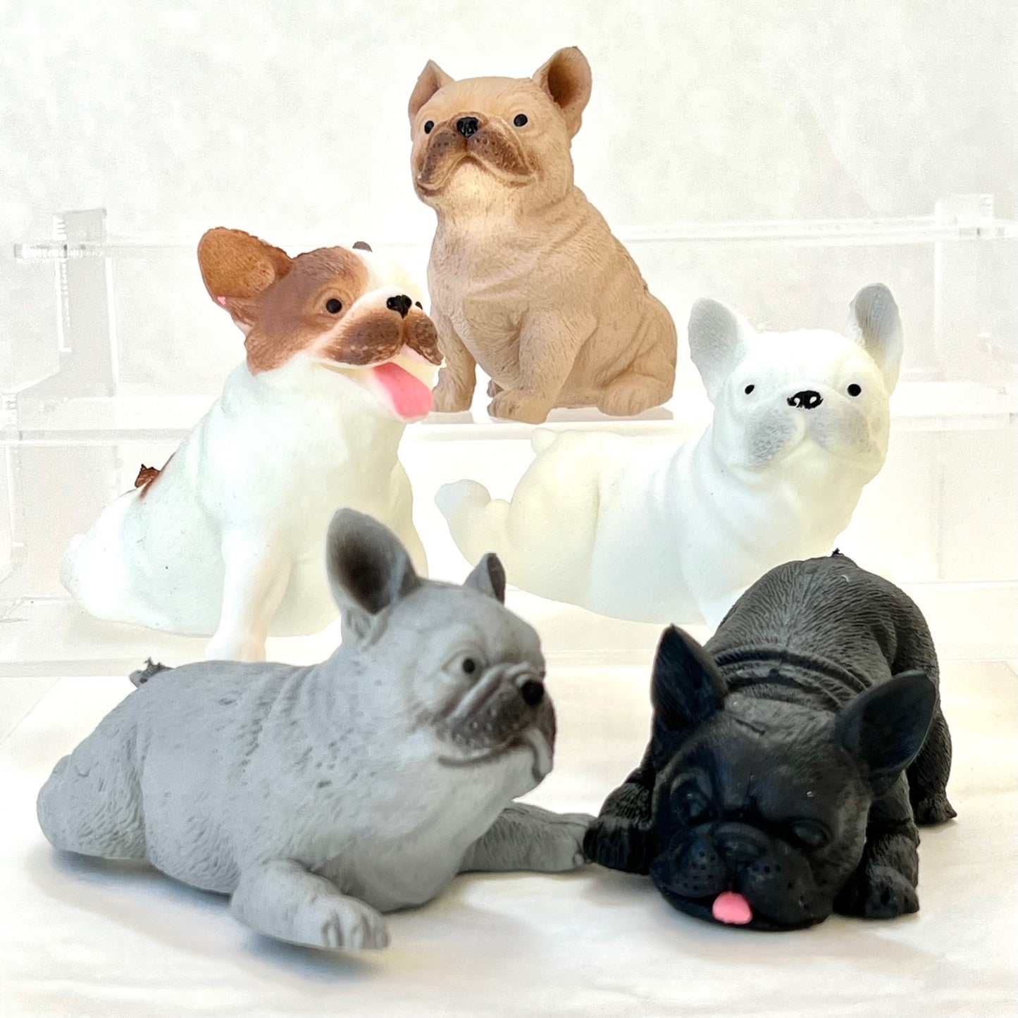 70298 French Bulldog Figurine Capsule-5