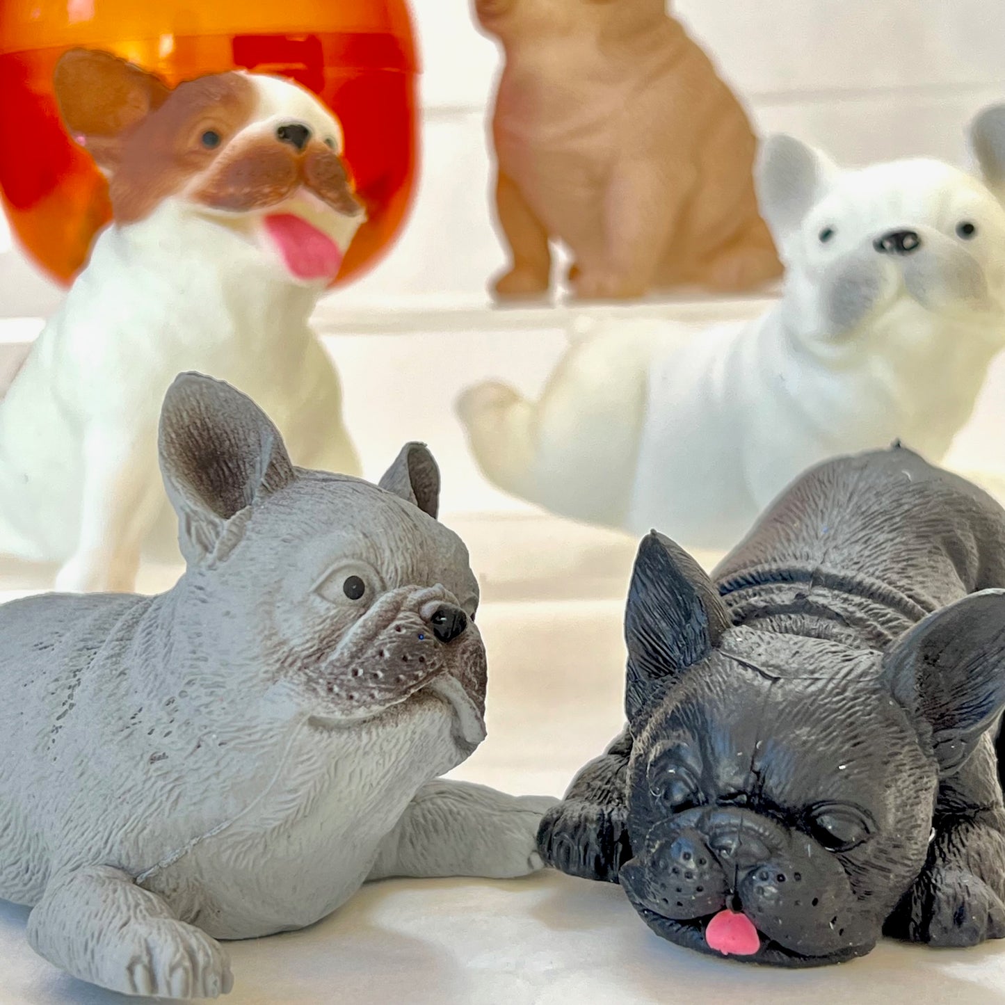 70298 French Bulldog Figurine Capsule-5