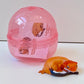 70373 Sleeping Reptiles & Lizards Figurine Capsule-6