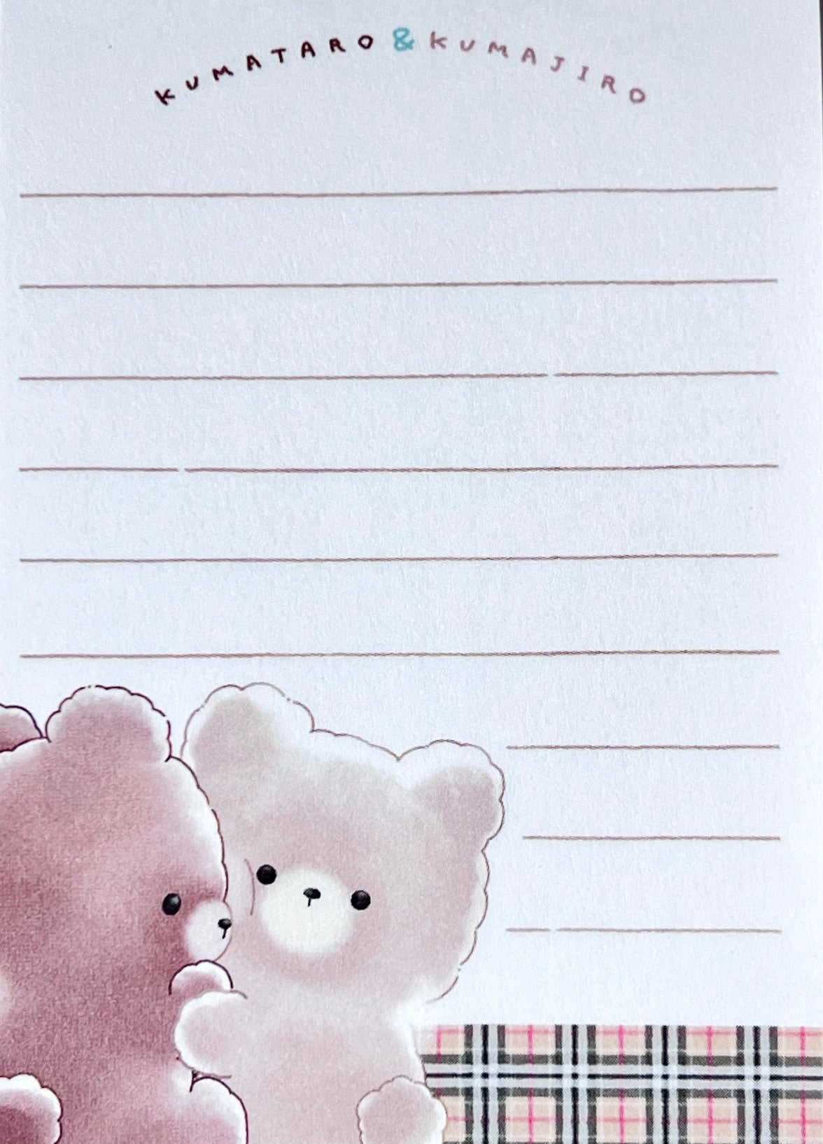 115695 Fluffy Bear Hug Mini Notepad-10