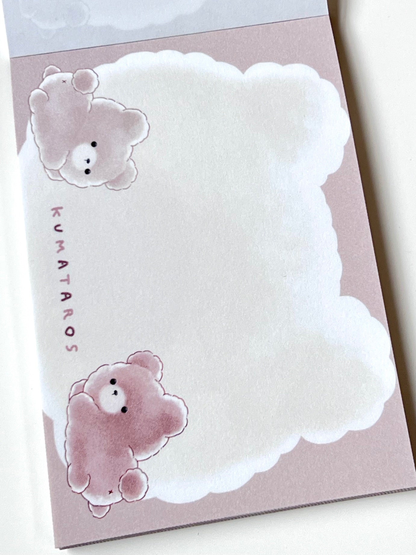 115695 Fluffy Bear Hug Mini Notepad-10