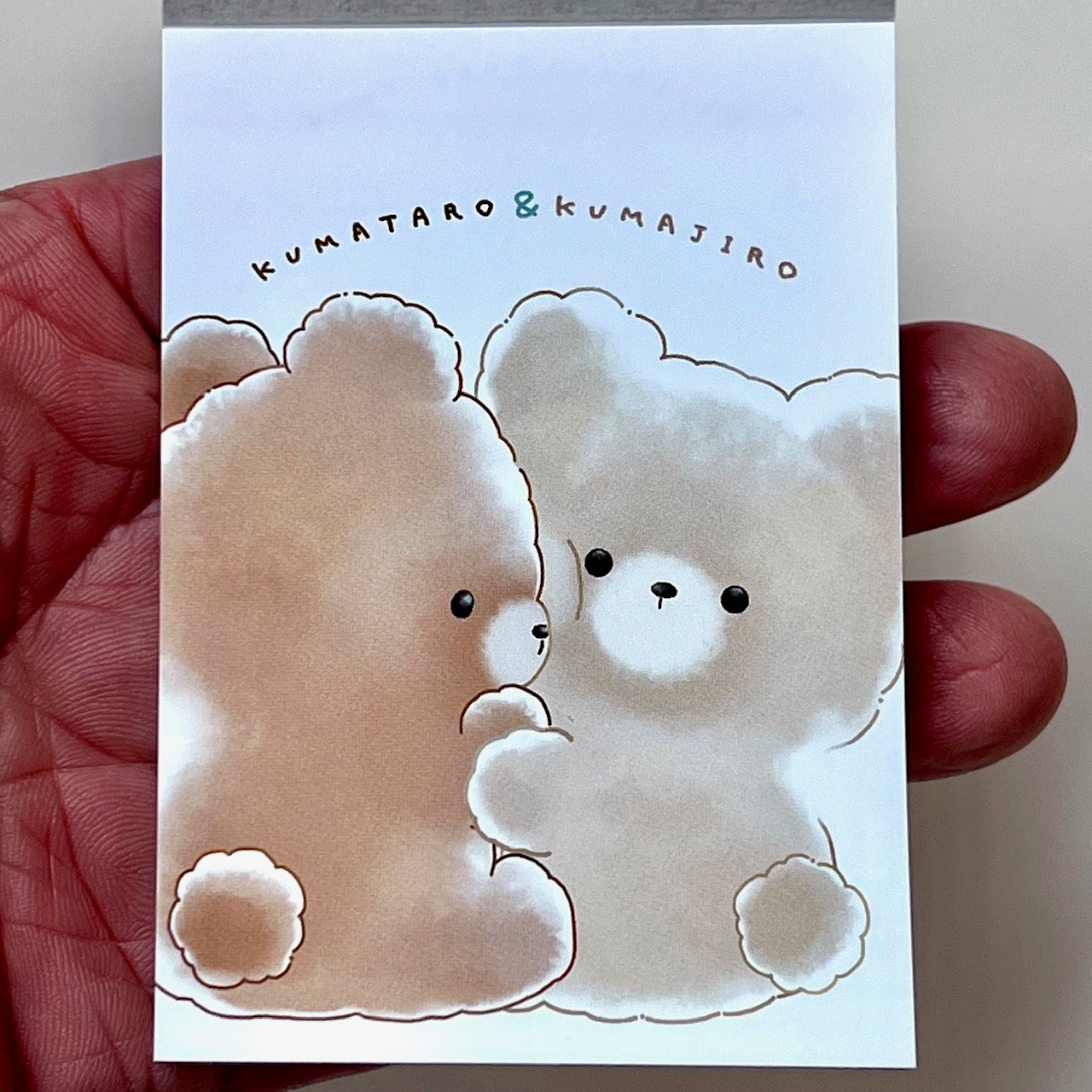 15695 Fluffy Bear Hug Mini Notepad-9