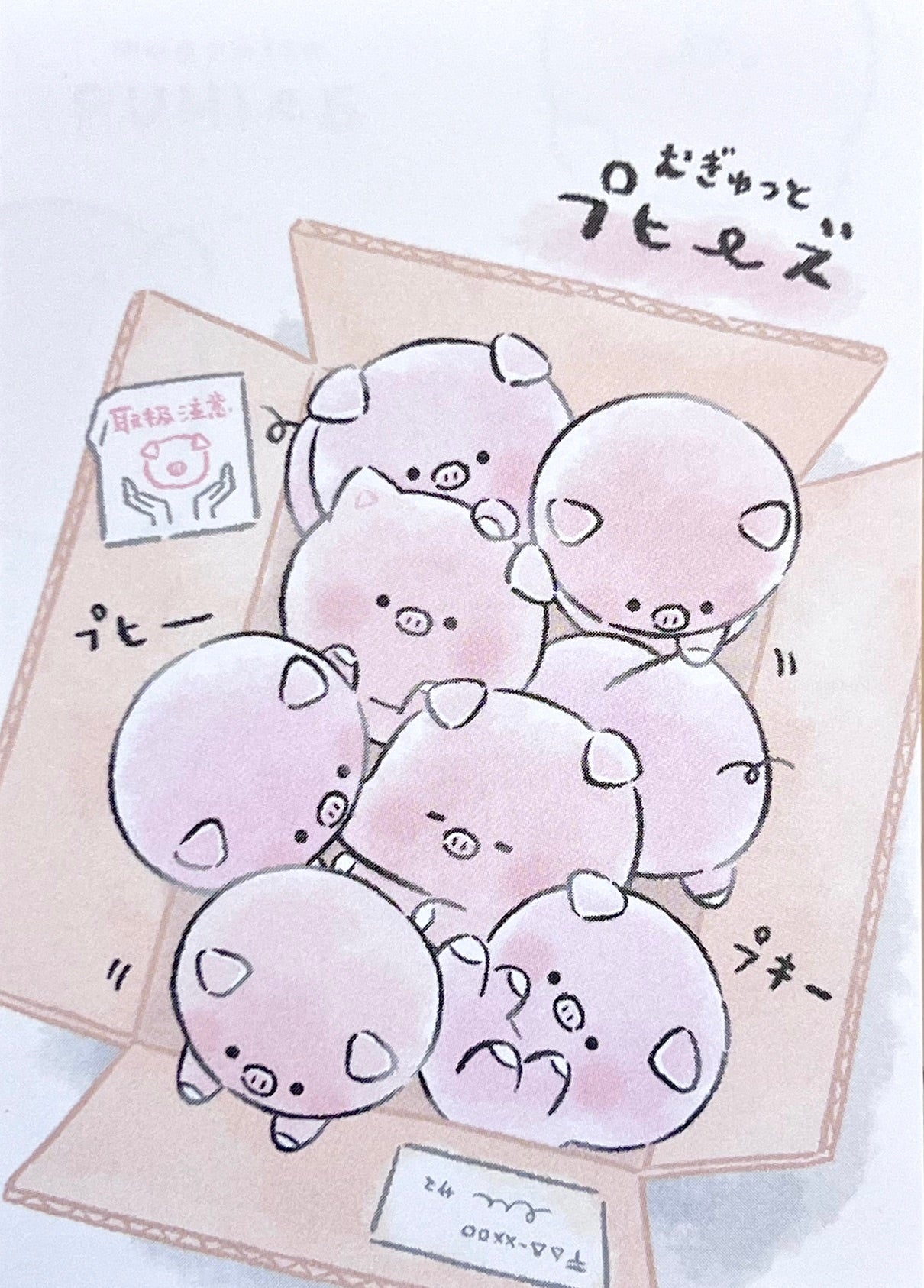 214697 Pigs Mini Notepad-10