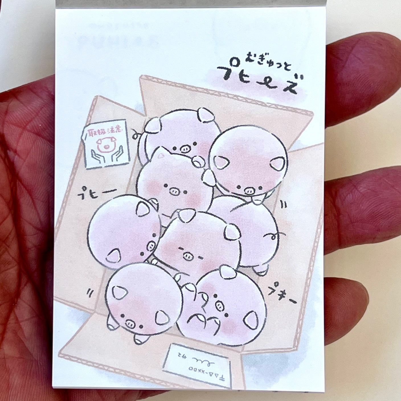 214697 Pigs Mini Notepad-10