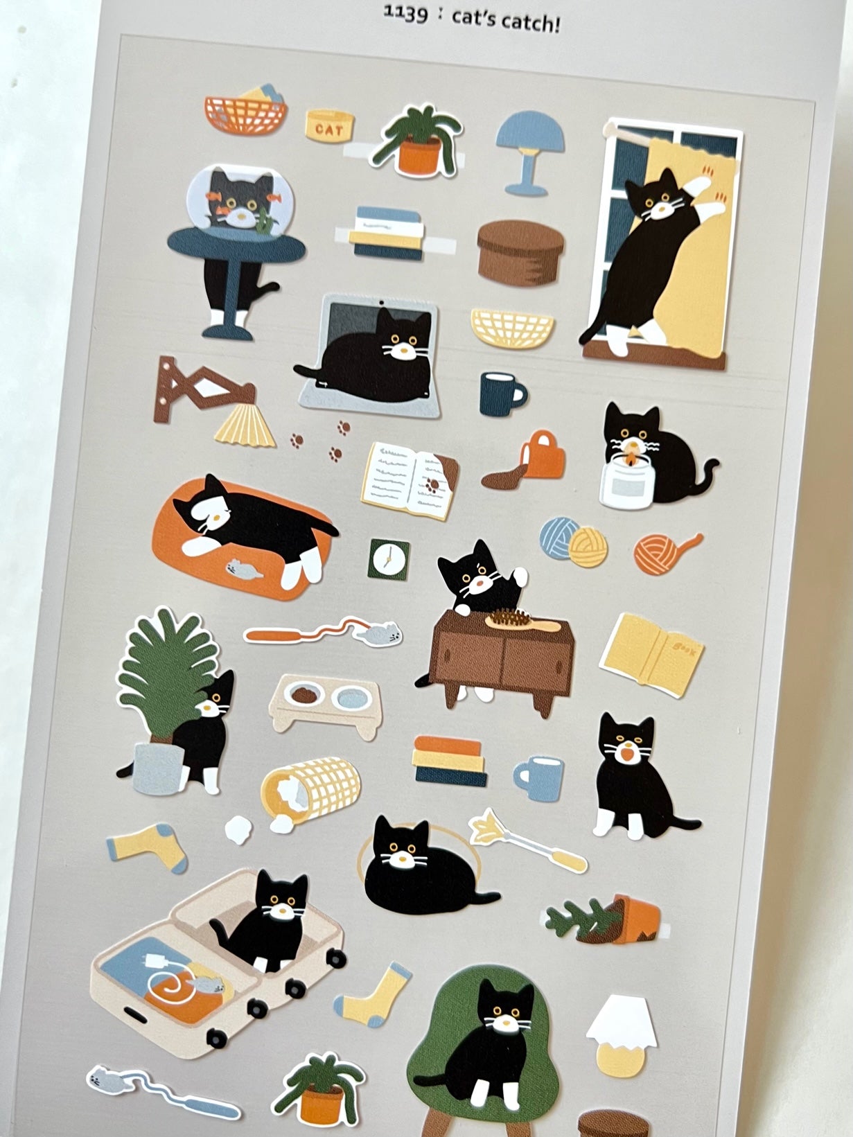 01139 CATS CATCH DAY STICKERS-12 – BCmini