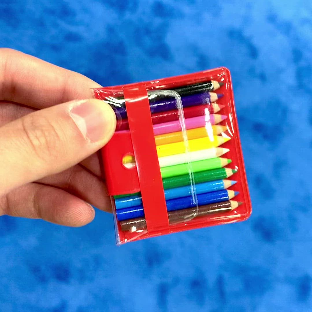 BC USA 12 Mini Colored Pencils in Handy Pouch