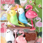 38337 BIRDS ERASER CARD-10 CARDS