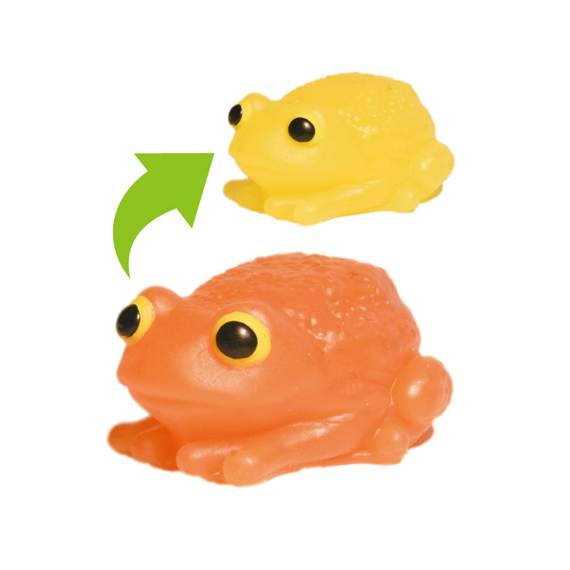 X 70955 Frog Color Changing Gummy Figurine Capsule-DISCONTINUED – BCmini