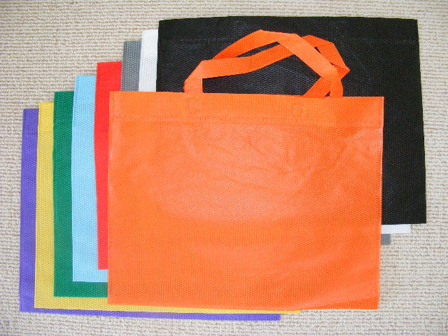 X 60060 ECO-FRIENDLY SHOPPING BAGS-DISCONTINUED