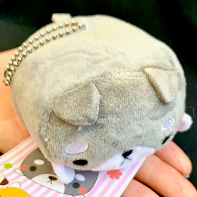 63063 YAMANI GRAY CAT MOCHI PLUSH 6 BCmini