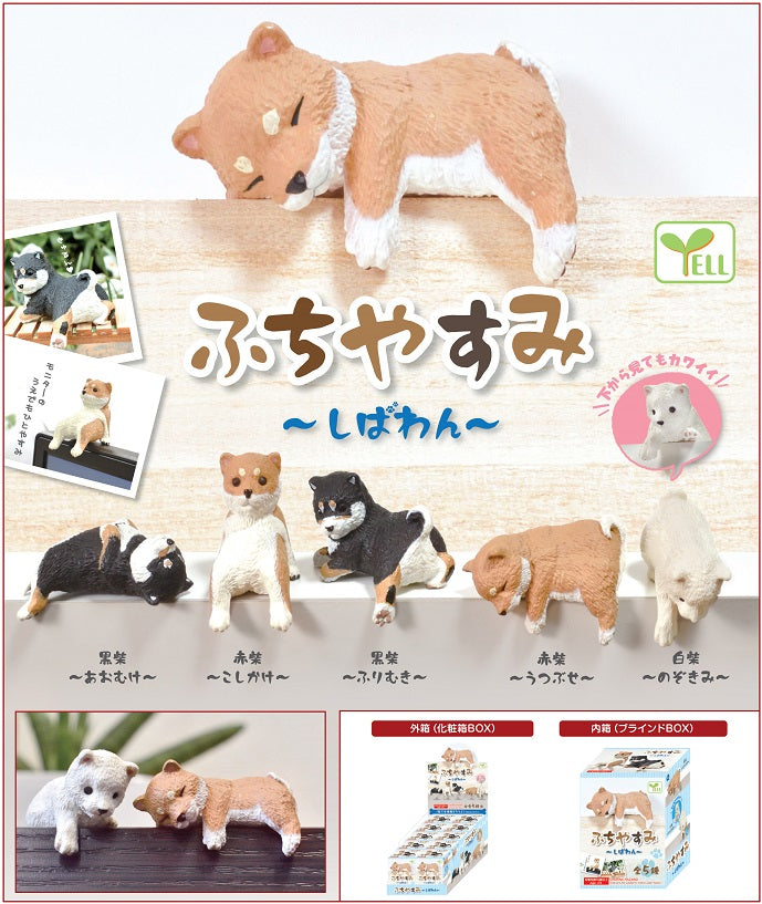 X 70716 SHIBA INU HANGING DOG BLIND BOX-DISCONTINUED – BCmini