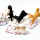 70825 MOPPING ANIMALS CAPSULE-5