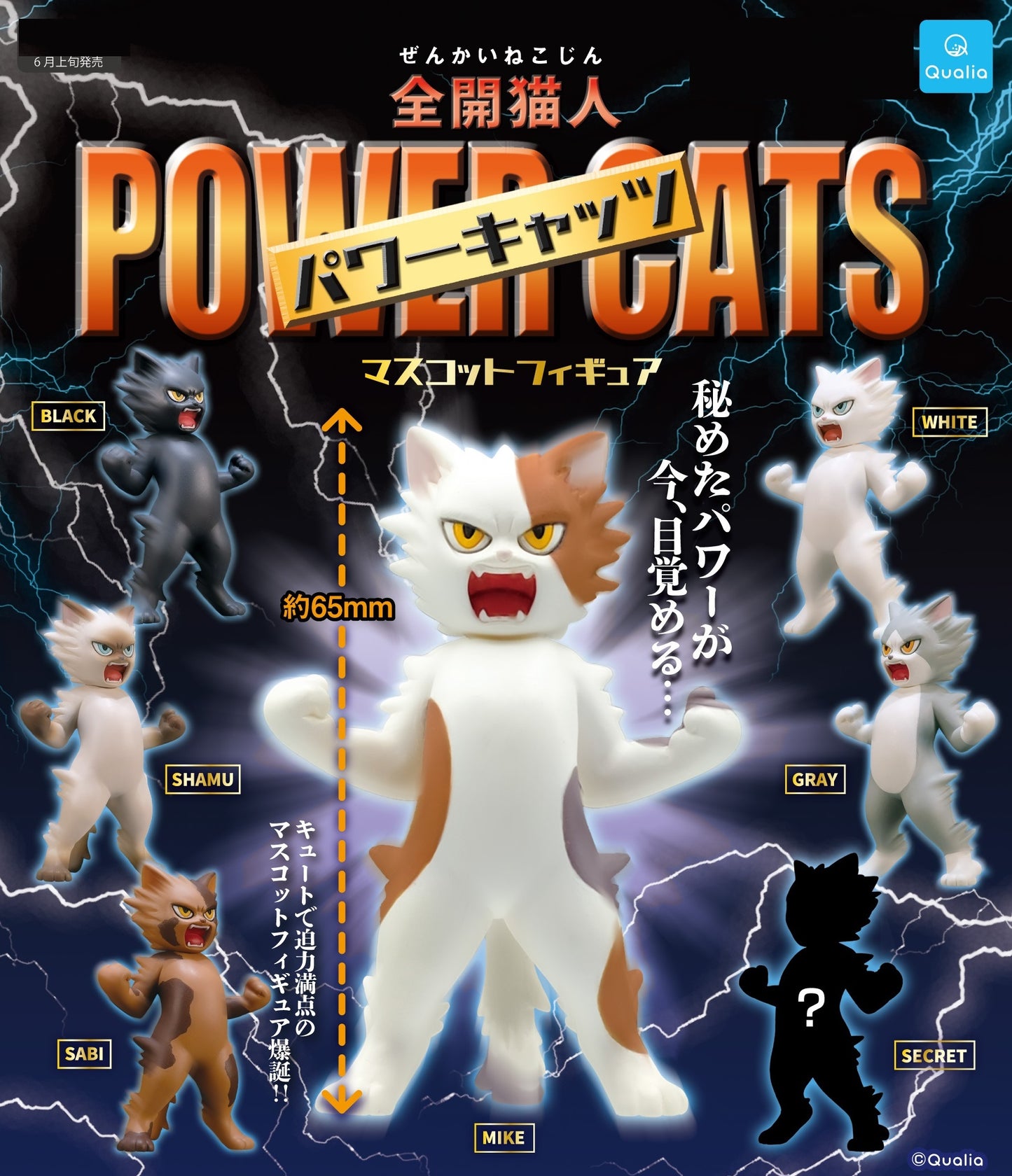 X 70873 Power Cats Capsules-DISCONTINUED