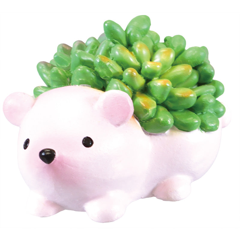 X 70807 HEDGEHOG SUCCULENT CAPSULE-DISCONTINUED