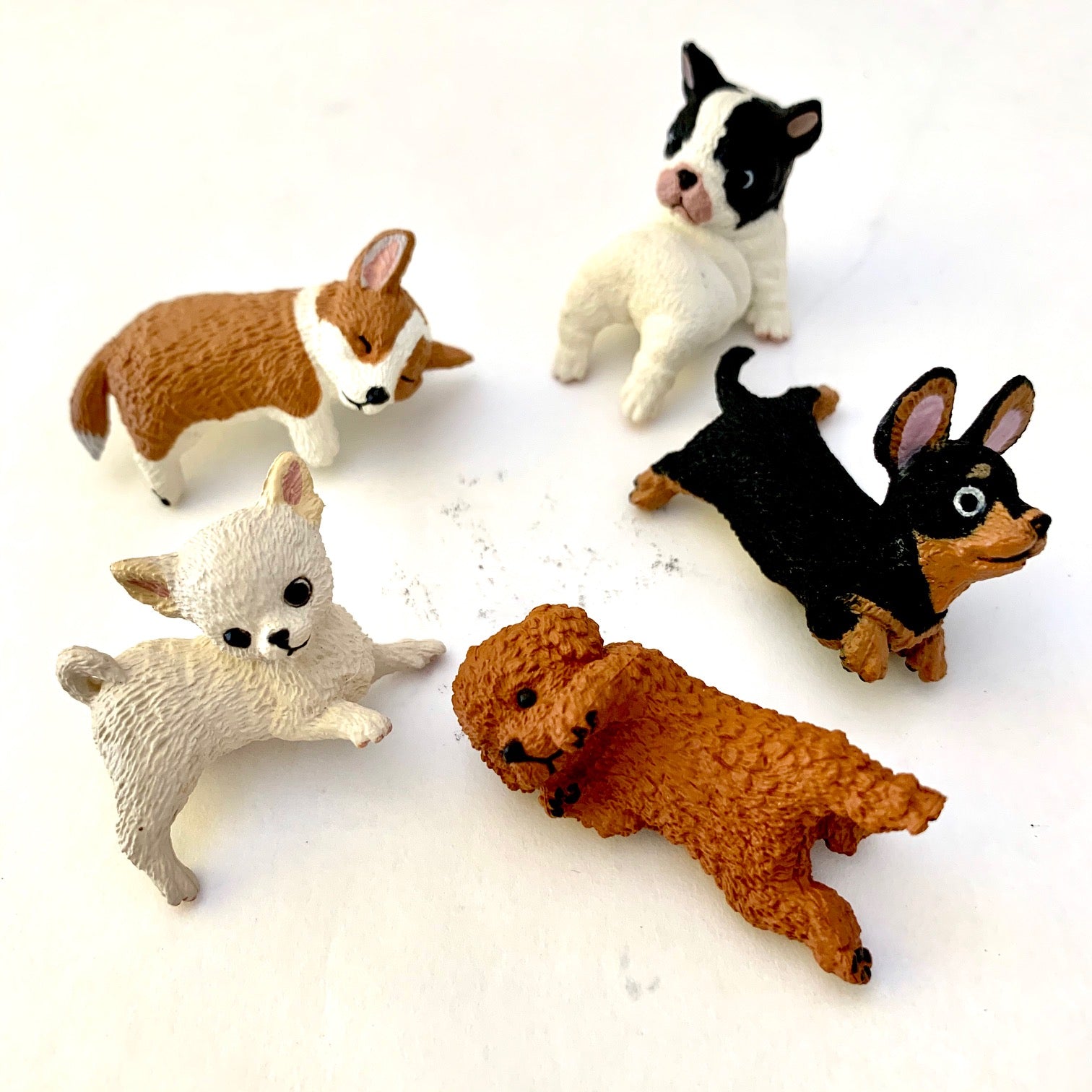 70727 PLAYFUL HANGING DOGS BLIND BOX 10 BCmini
