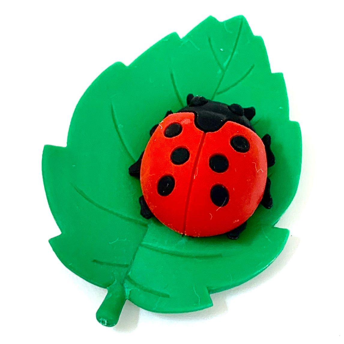 Insect World - Buy Eraser Clay, eraser clay insect toy, clay insect toy  Product on PAULINDA INDUSTRIES(1999) LTD.