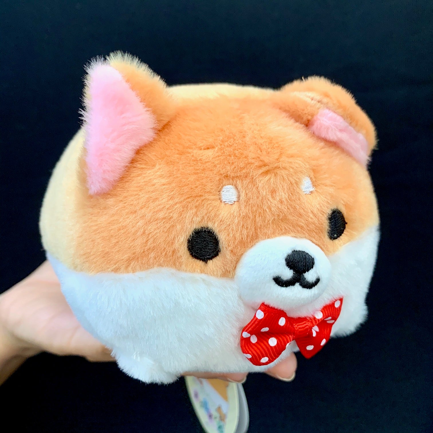 Corgi Dog Plush Toy – Big Squishies