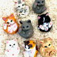 X 70893 CURLING CATS FIGURINES-DISCONTINUED