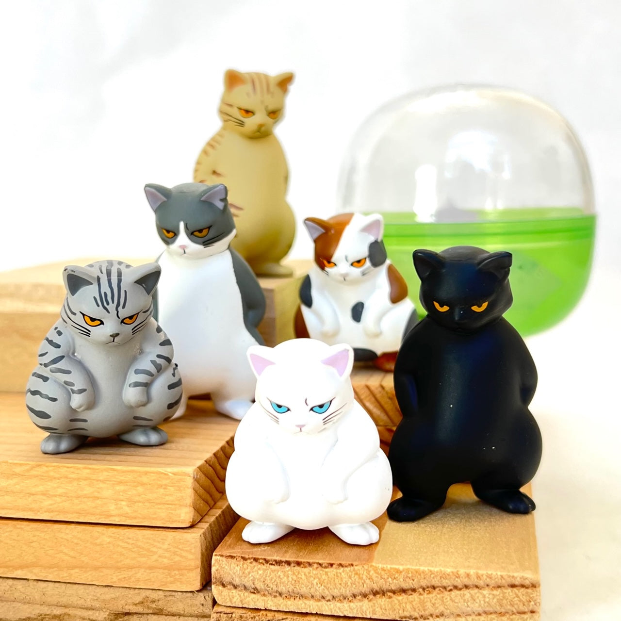 X 70987 Bad Cats Figurine Capsule-DISCONTINED – BCmini