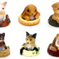 X 70889 ANIMAL HOME FIGURINES-DISCONTINUED