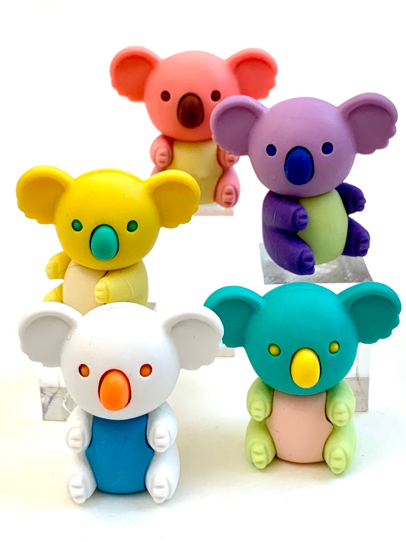 384601 Iwako Colorz Koala -1 box of 5 Erasers