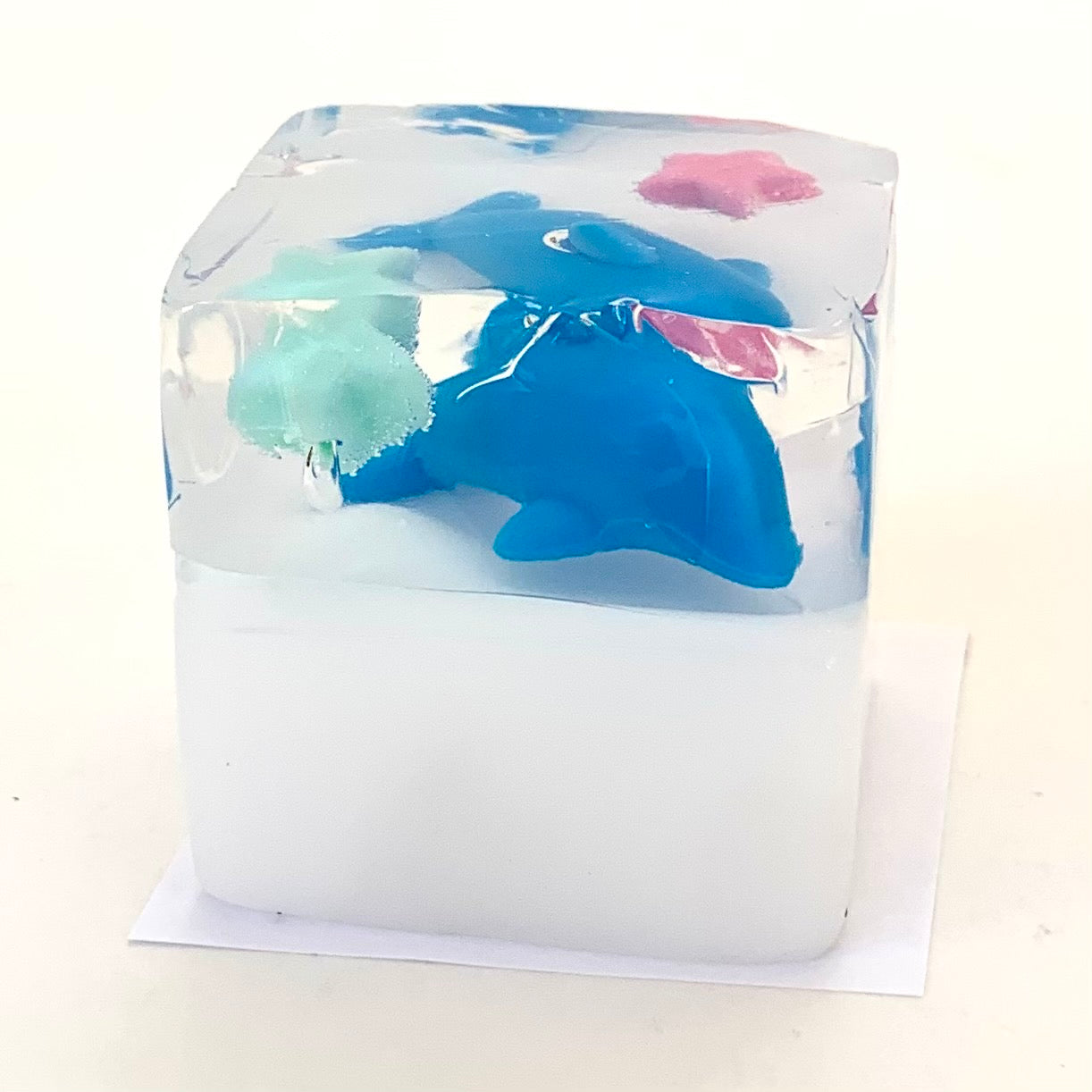 X 70832 DOLPHIN GUMMY MODEL CAPSULE-DISCONTINUED