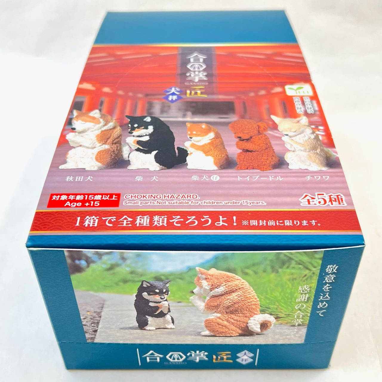 70756 BOWING PUPPY DOG BLIND BOX-10