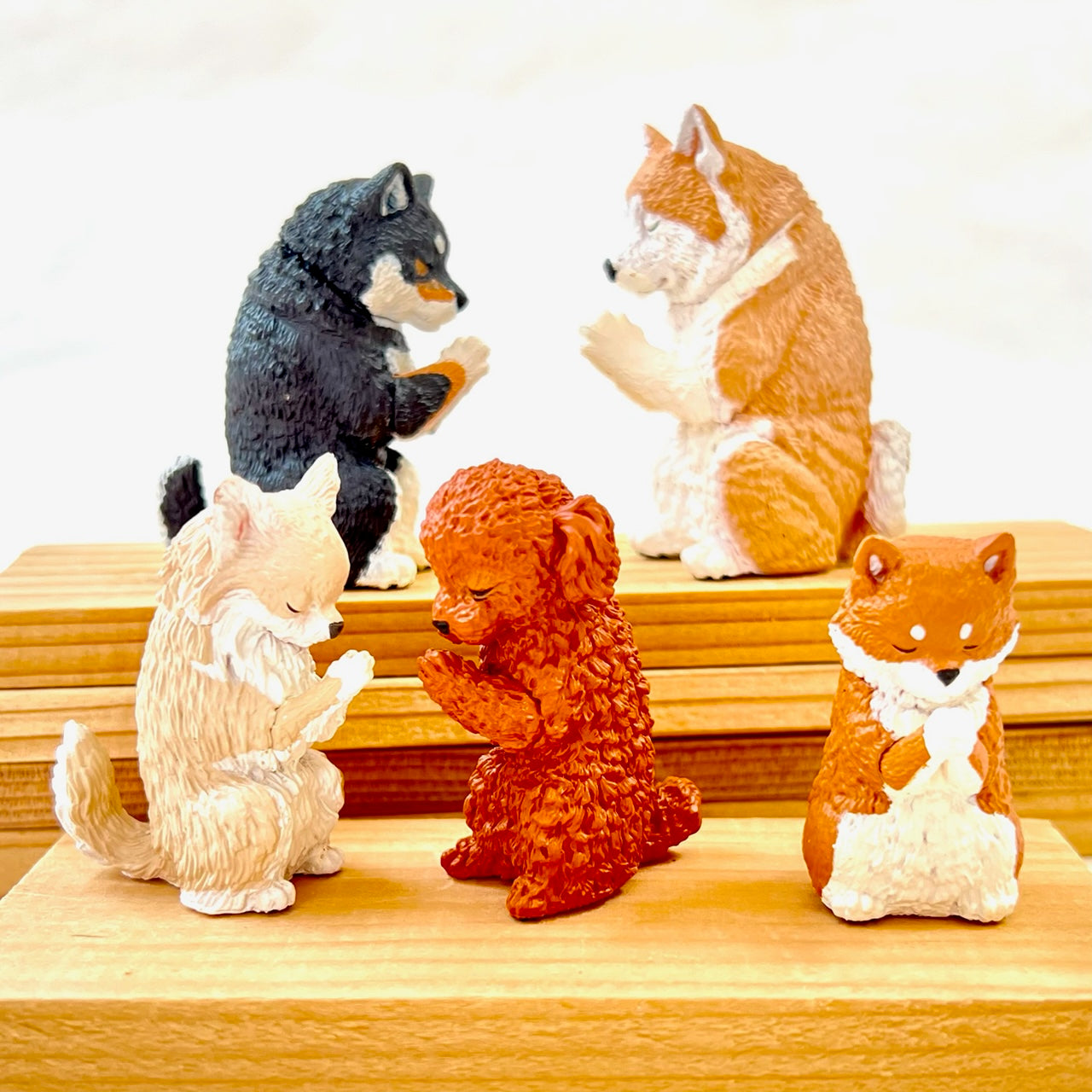 70756 BOWING PUPPY DOG BLIND BOX-10