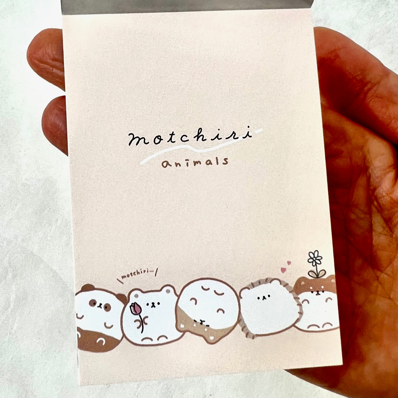 X 105626 Round Motchiri Animals Mini Notepad-DISCONTINUED