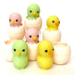 382421 Iwako Baby Chick Erasers-30