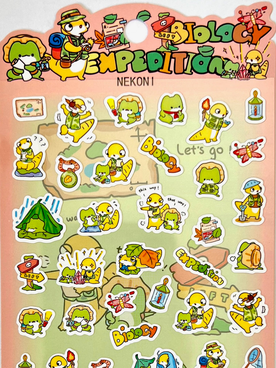51119 FROG BIOLOGY EXPEDITION STICKERS-10 – BCmini