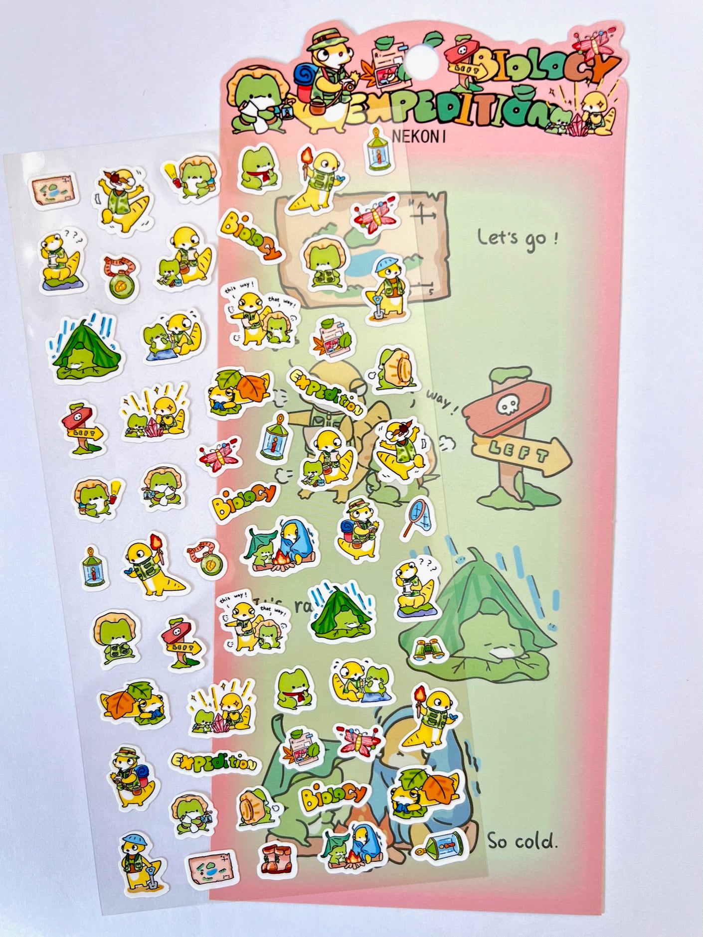 51119 FROG BIOLOGY EXPEDITION STICKERS-10 – BCmini