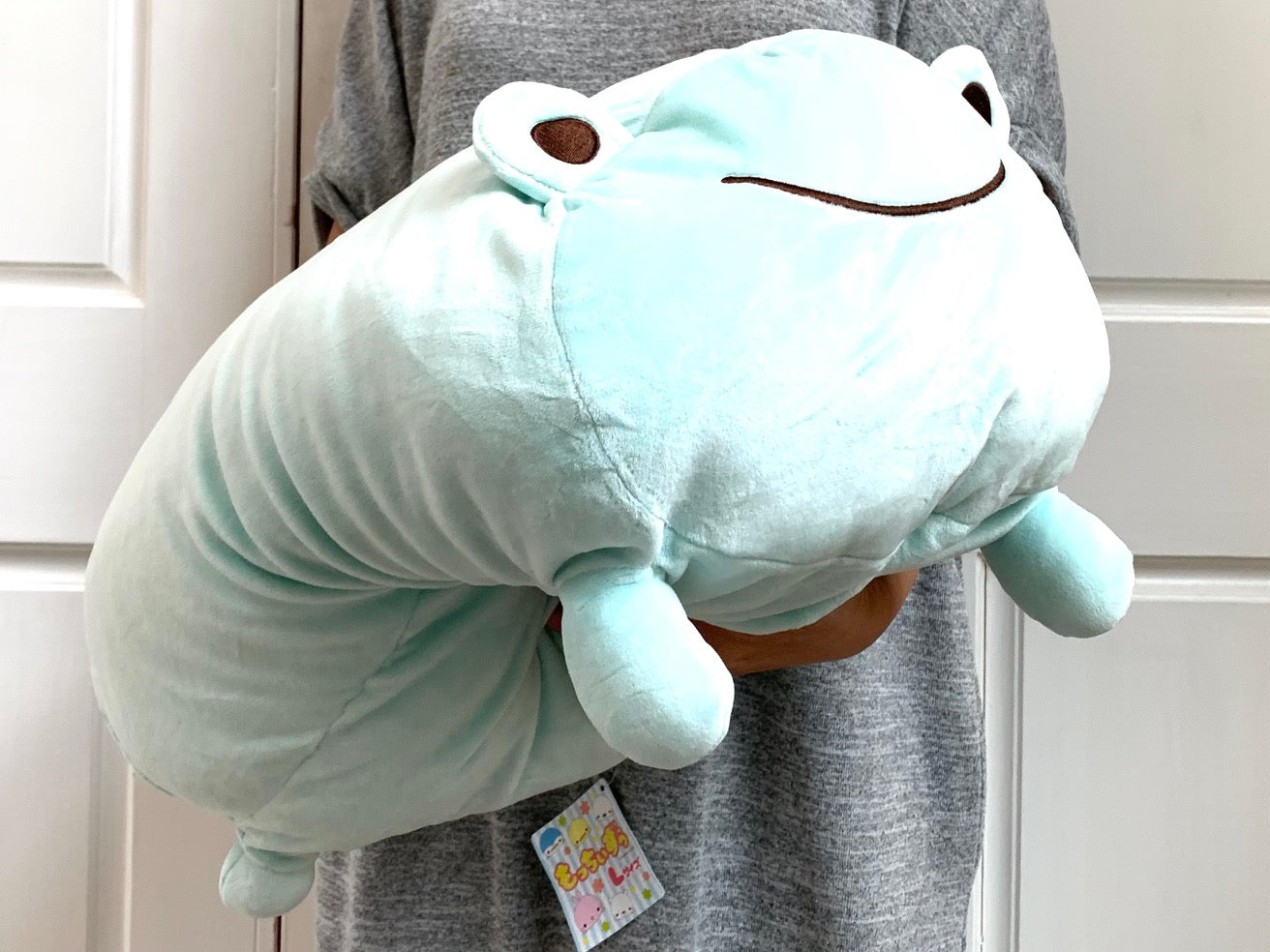 Cute Fluffly Frog Pillow Pet