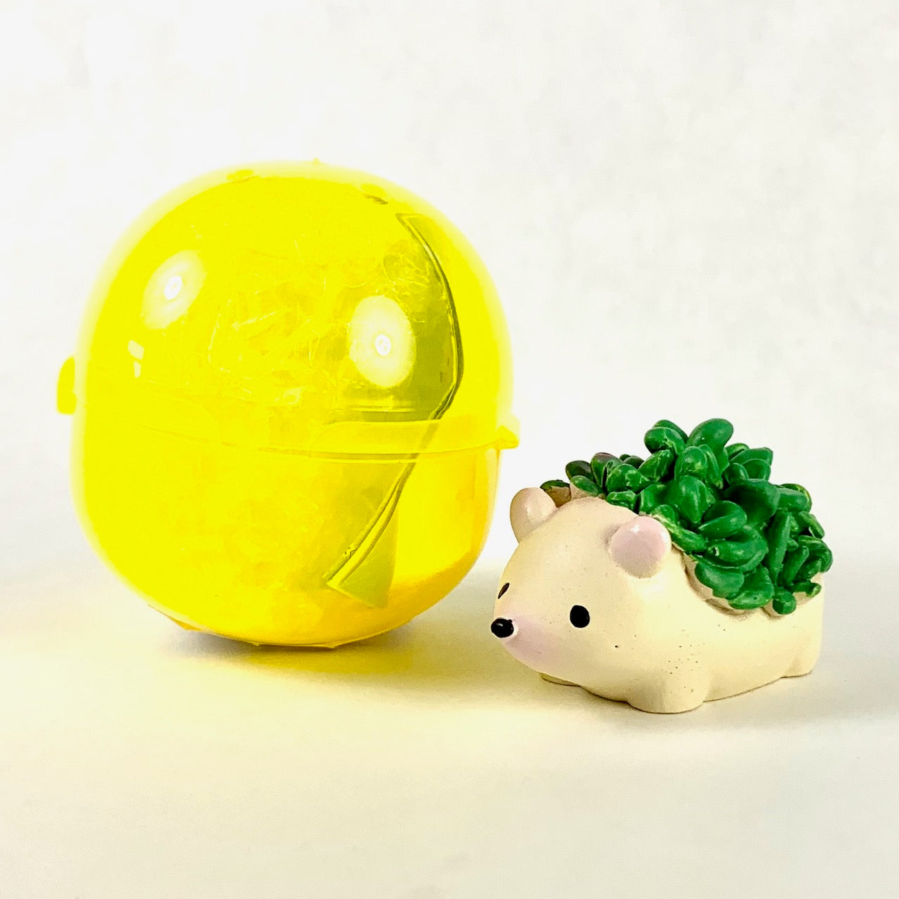 X 70807 HEDGEHOG SUCCULENT CAPSULE-DISCONTINUED