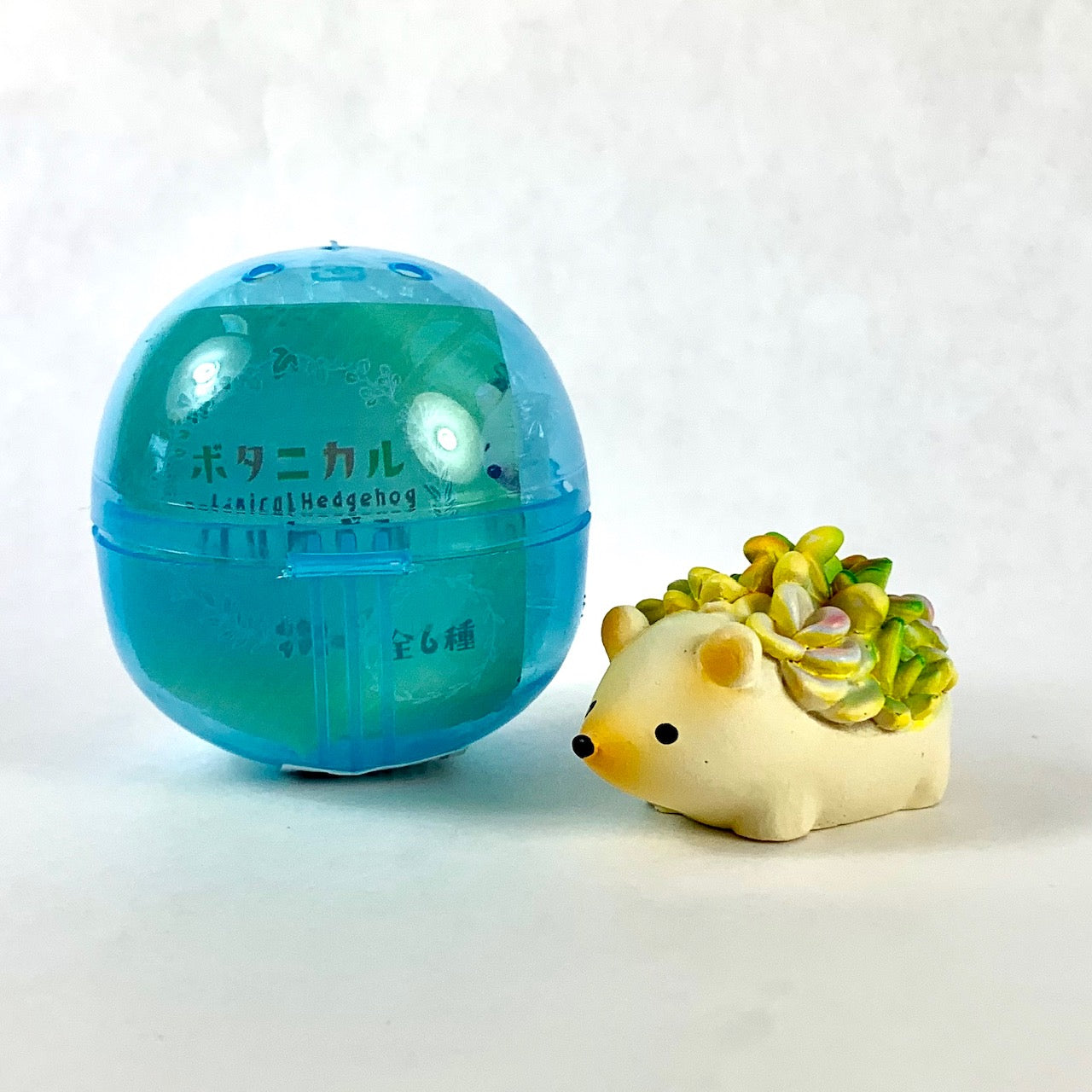 X 70807 HEDGEHOG SUCCULENT CAPSULE-DISCONTINUED