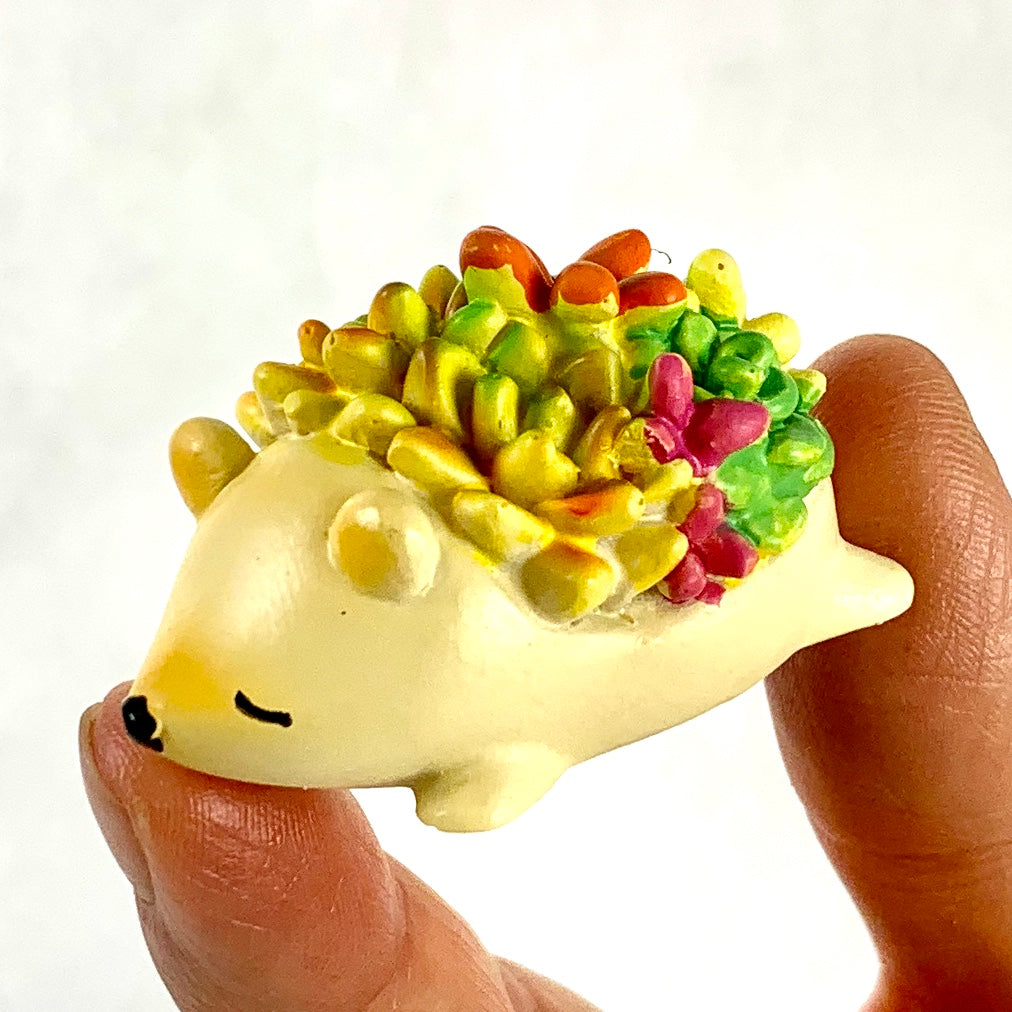 hedgehog succulent X 70807 HEDGEHOG SUCCULENT CAPSULE-DISCONTINUED – BCmini