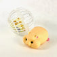 X 70844 SOFT HAMSTER CAPSULE-DISCONTINUED