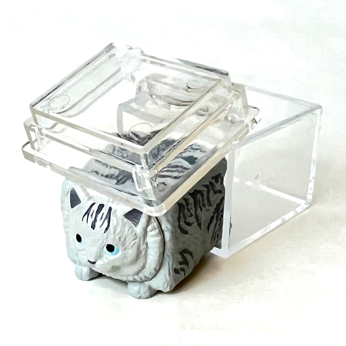 X 70966 Cat in Box Figurine Capsule-DISCONTINUED