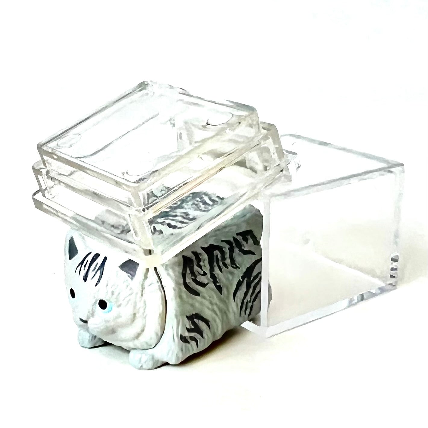 X 70966 Cat in Box Figurine Capsule-DISCONTINUED