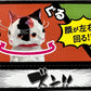70773 ZUN!! ATTITUDE CAT FIGURINE BLIND BOX-10