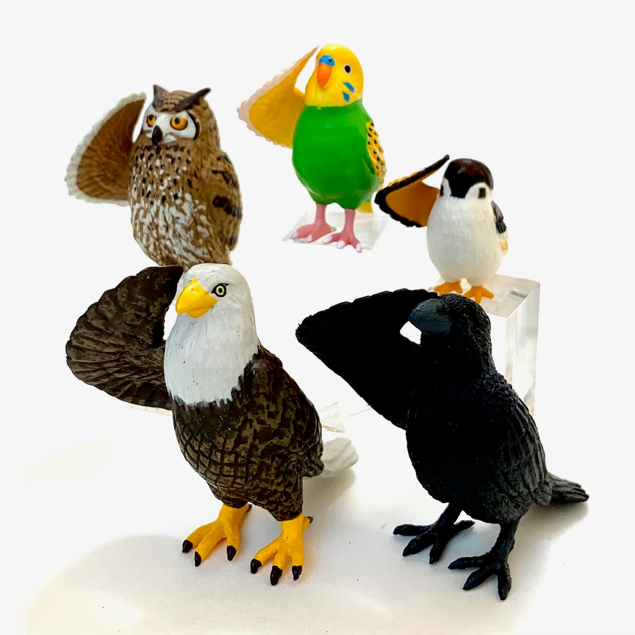 70749 SALUTING BIRDS BLIND BOX-10 – BCmini