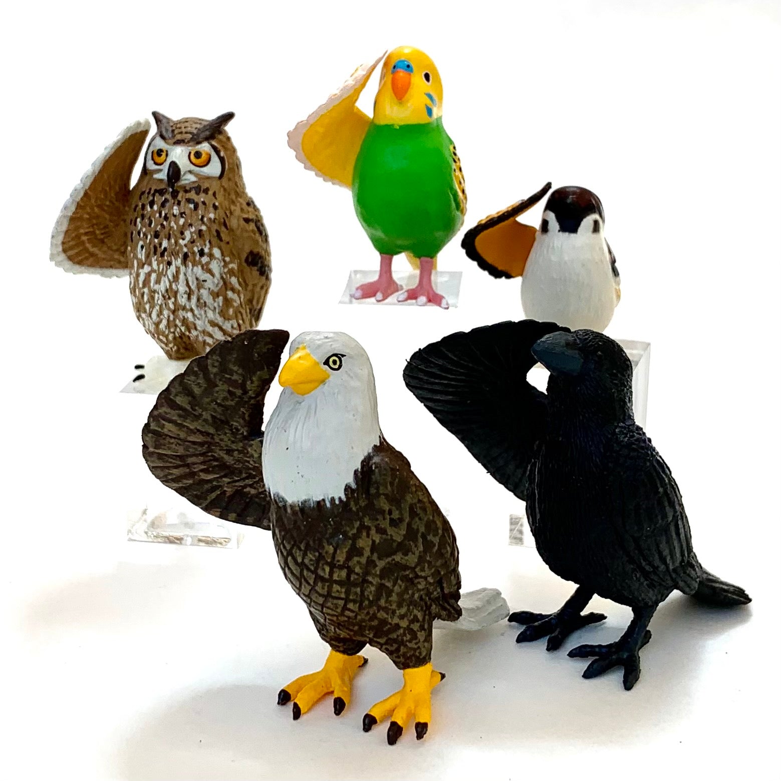 70749 SALUTING BIRDS BLIND BOX-10 – BCmini