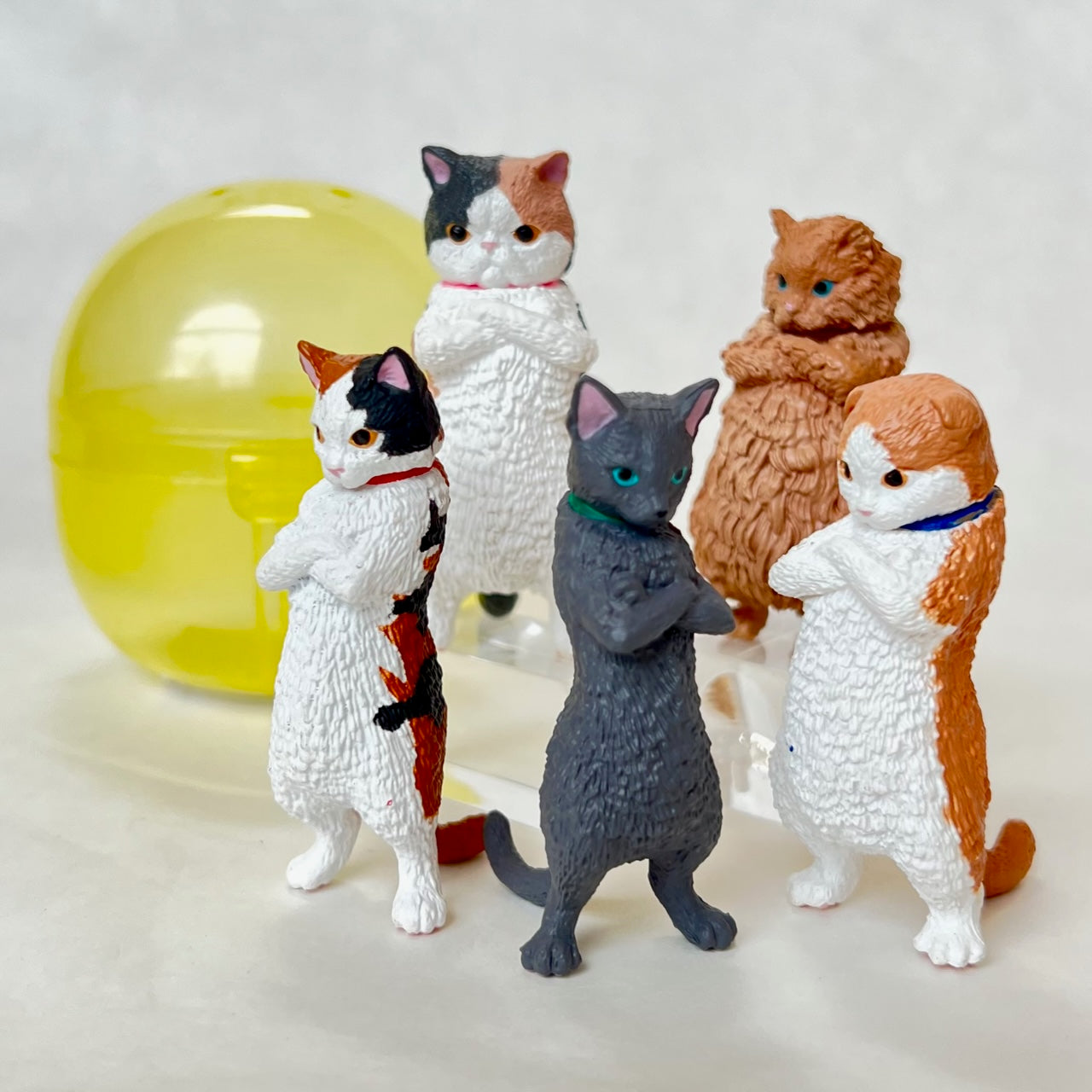 70252 Zun! Cats Figurine Capsule-5