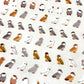 37719 BIRDS PAPER STICKERS-12