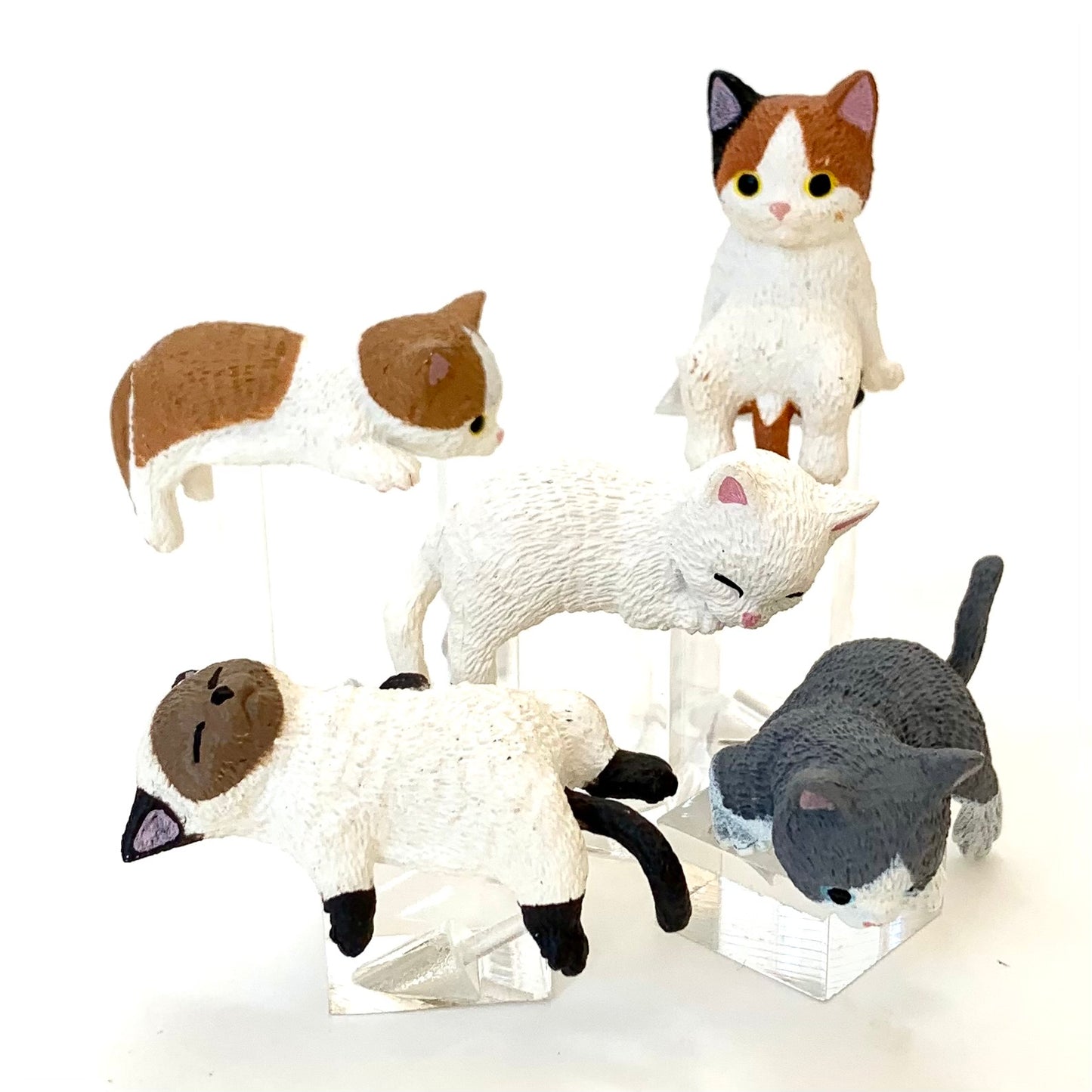 X 70806 PLAYFUL HANGING CATS CAPSULE-DISCONTINUED