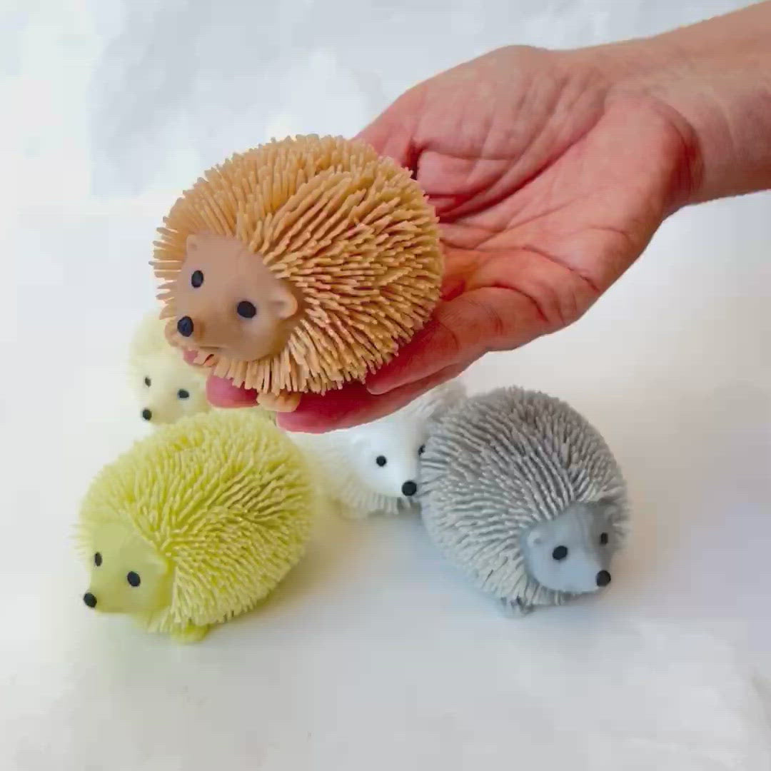 X 70900 Hedgehog Squishy Capsule-DISCONTINUED – BCmini